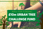 Urban Tree Challenge Fund
